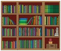 Bookshelf. Collection of various multi-colored books. Signs and Symbols. Vector i